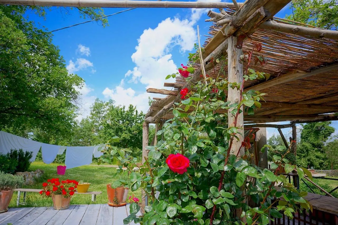 B&B Parco Dei Cavalli Castel San Pietro Terme Bed & Breakfast