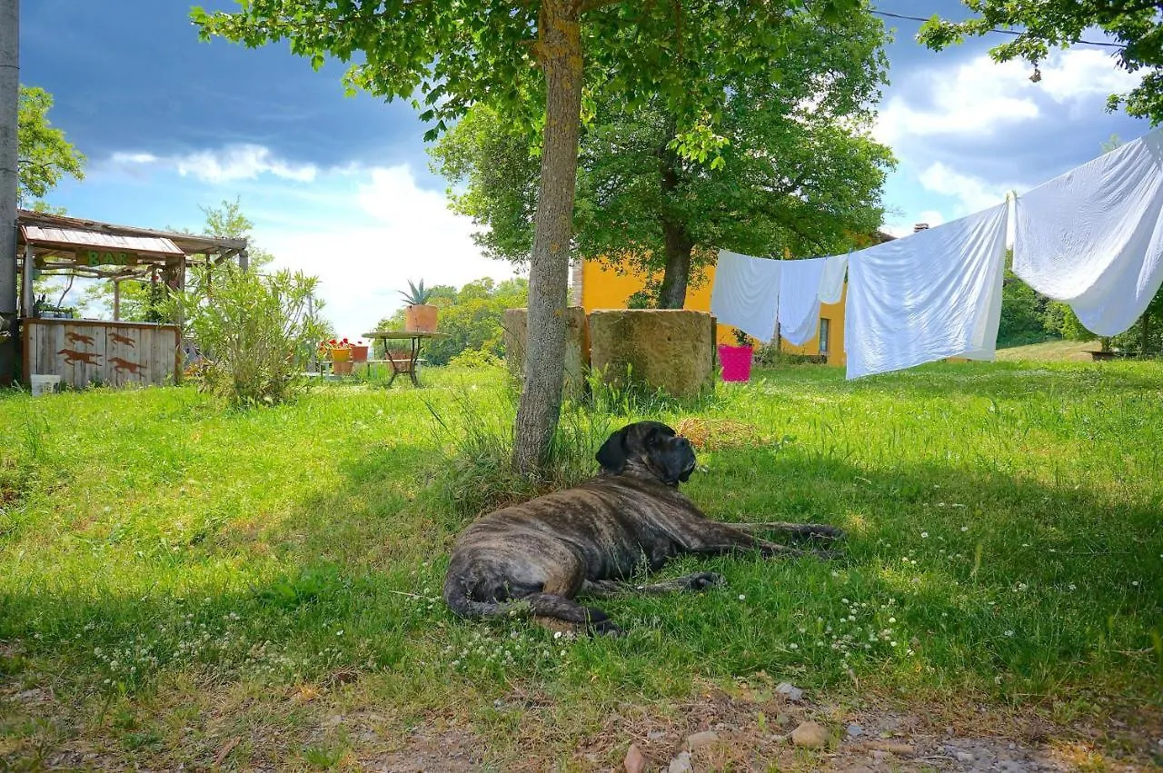 B&B Parco Dei Cavalli Castel San Pietro Terme